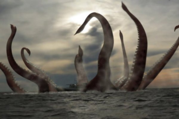 Kraken актуальное