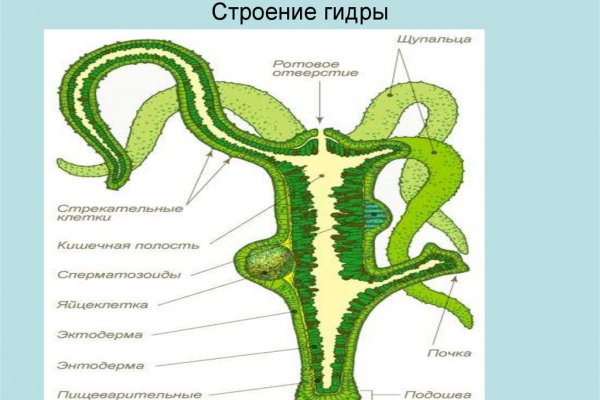 Kraken зеркало рабочее