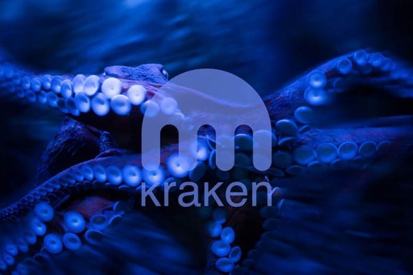 Kraken зеркало даркнет