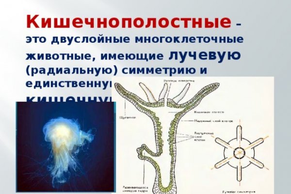 Как пополнить баланс кракен